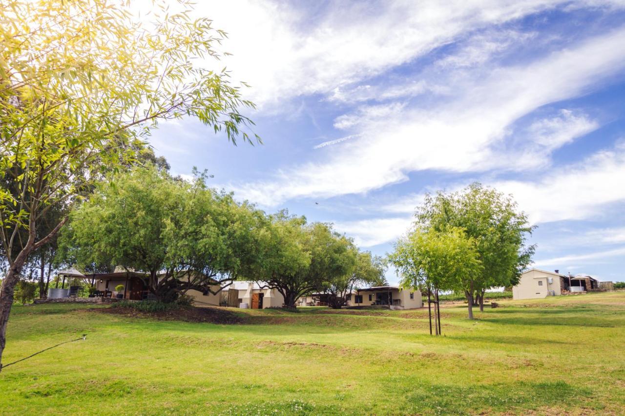 Arendsig Wine Estate & Cottages Bonnievale Exterior photo