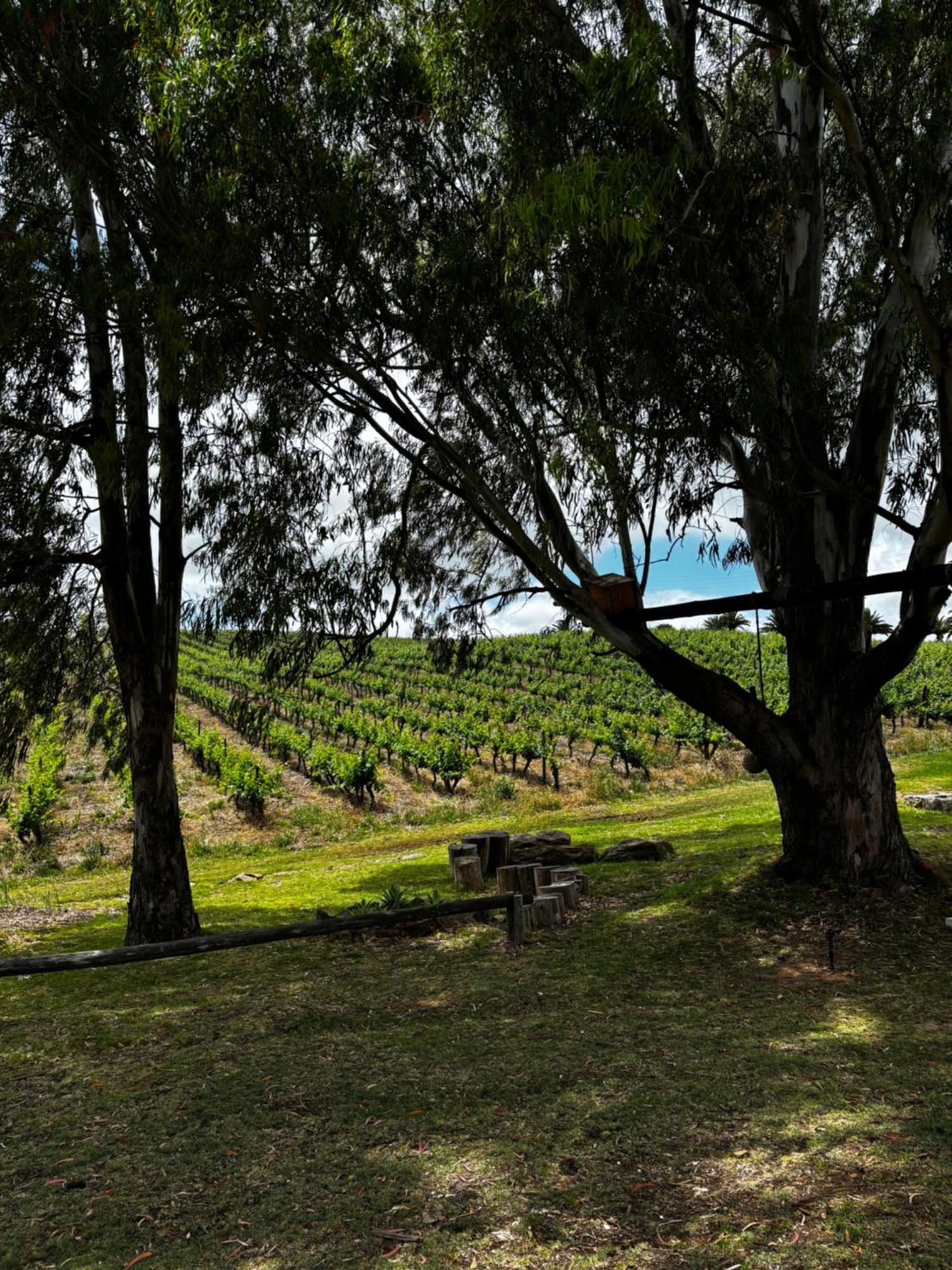 Arendsig Wine Estate & Cottages Bonnievale Exterior photo